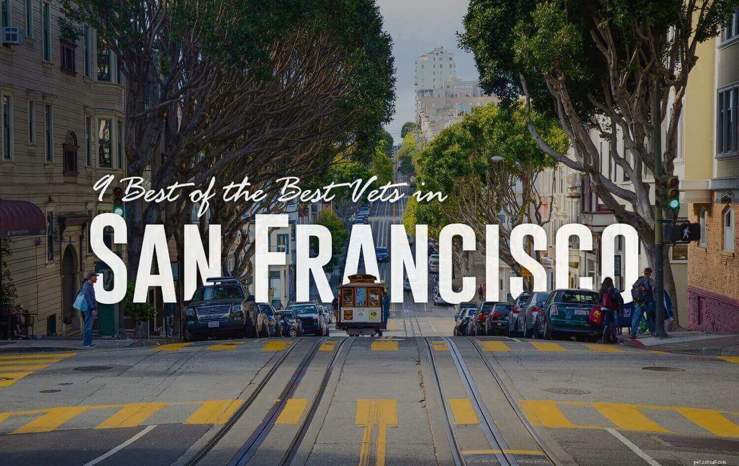 9 Beste van de beste dierenartsen in San Francisco