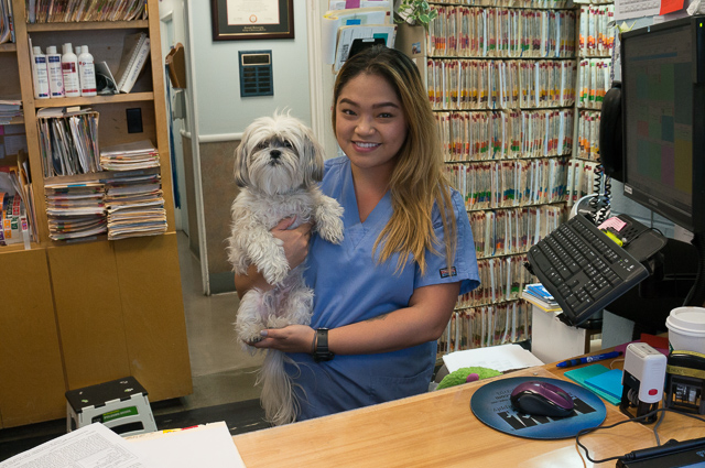 9 Melhores dos melhores veterinários de São Francisco