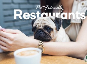 Путеводитель по лучшим ресторанам Бруклина, где разрешено размещение с домашними животными