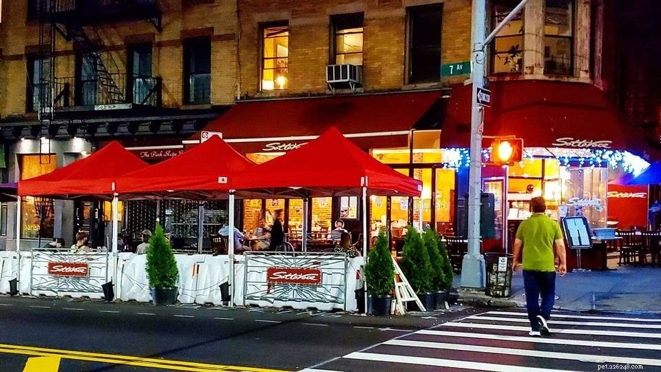 Una guida ai migliori ristoranti che accettano animali a Brooklyn