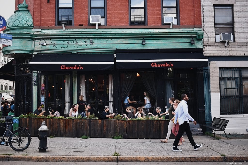 Guide des meilleurs restaurants acceptant les animaux domestiques à Brooklyn