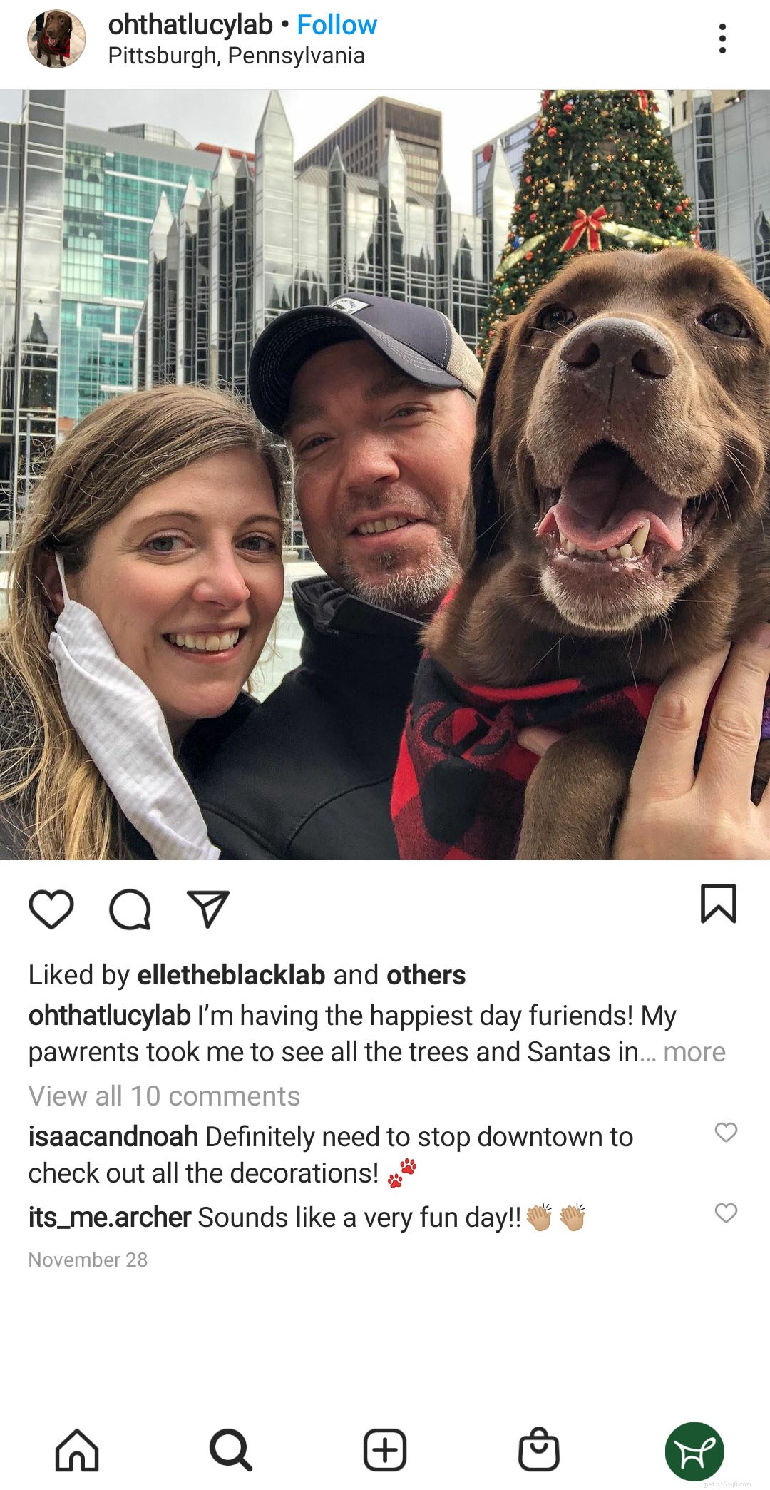 Hondvriendelijke plaatsen in Pittsburgh