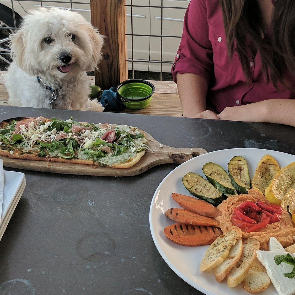 8 bästa husdjursvänliga restauranger i Houston
