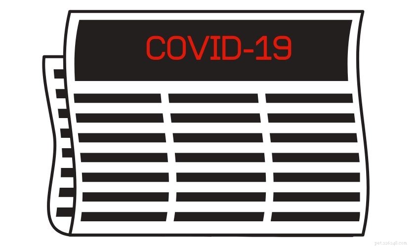 Atualizações COVID-19