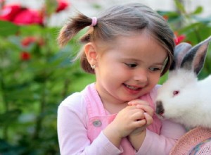 Por que um coelho é o animal de estimação perfeito para a família!