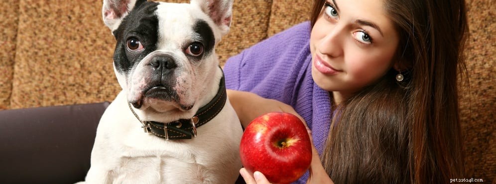 Il tuo cane dovrebbe assumere vitamine o integratori?