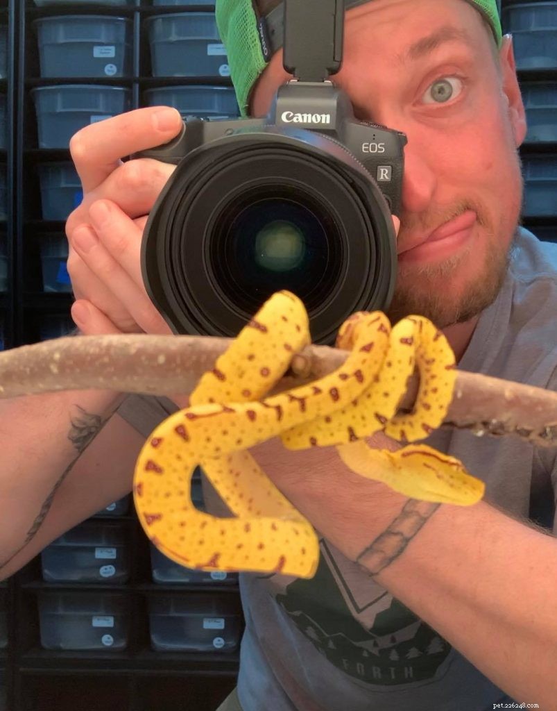 最高の画像のための8つの爬虫類写真撮影のヒントとコツ 