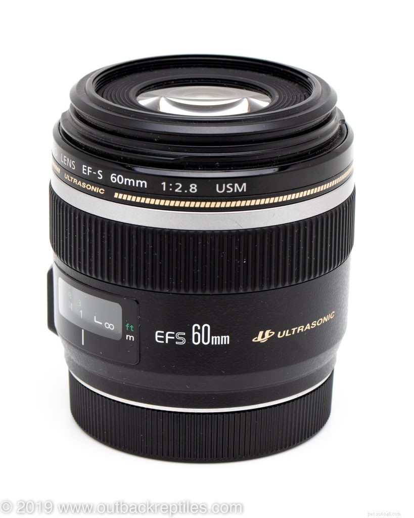 Recenze 60mm makro objektivu Canon:Nejlepší levný objektiv pro fotografování plazů