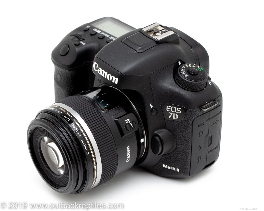 Recenze 60mm makro objektivu Canon:Nejlepší levný objektiv pro fotografování plazů