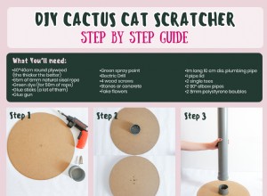 DIY Cactus Cat Scratcher