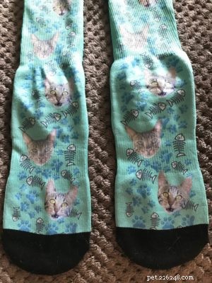 Vlastní ponožky pro kočky od Printsfield