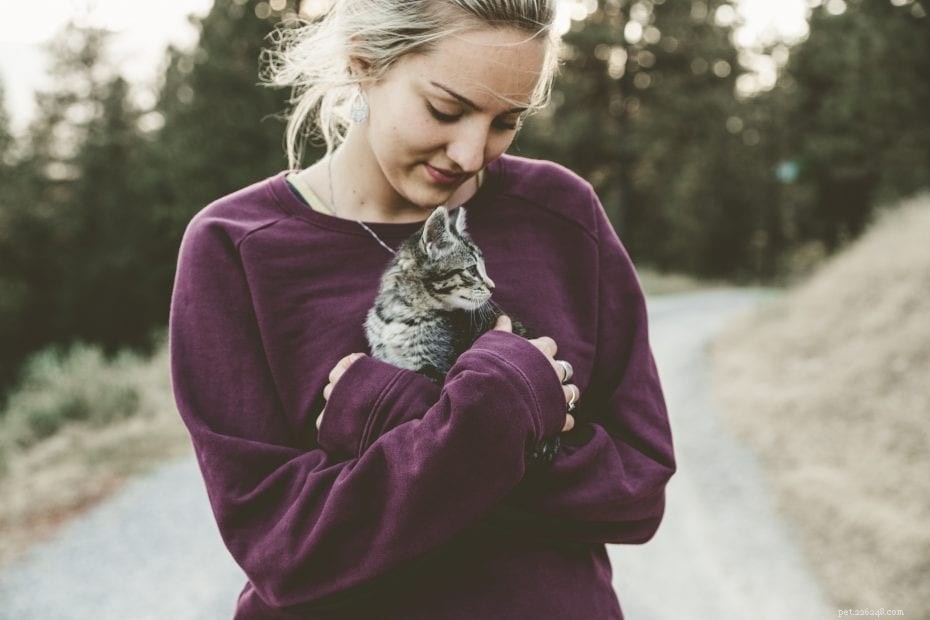 12 простых способов сделать жизнь вашей кошки удивительной