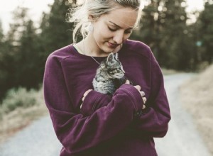 11 věcí, kterým rozumí pouze majitelé koček