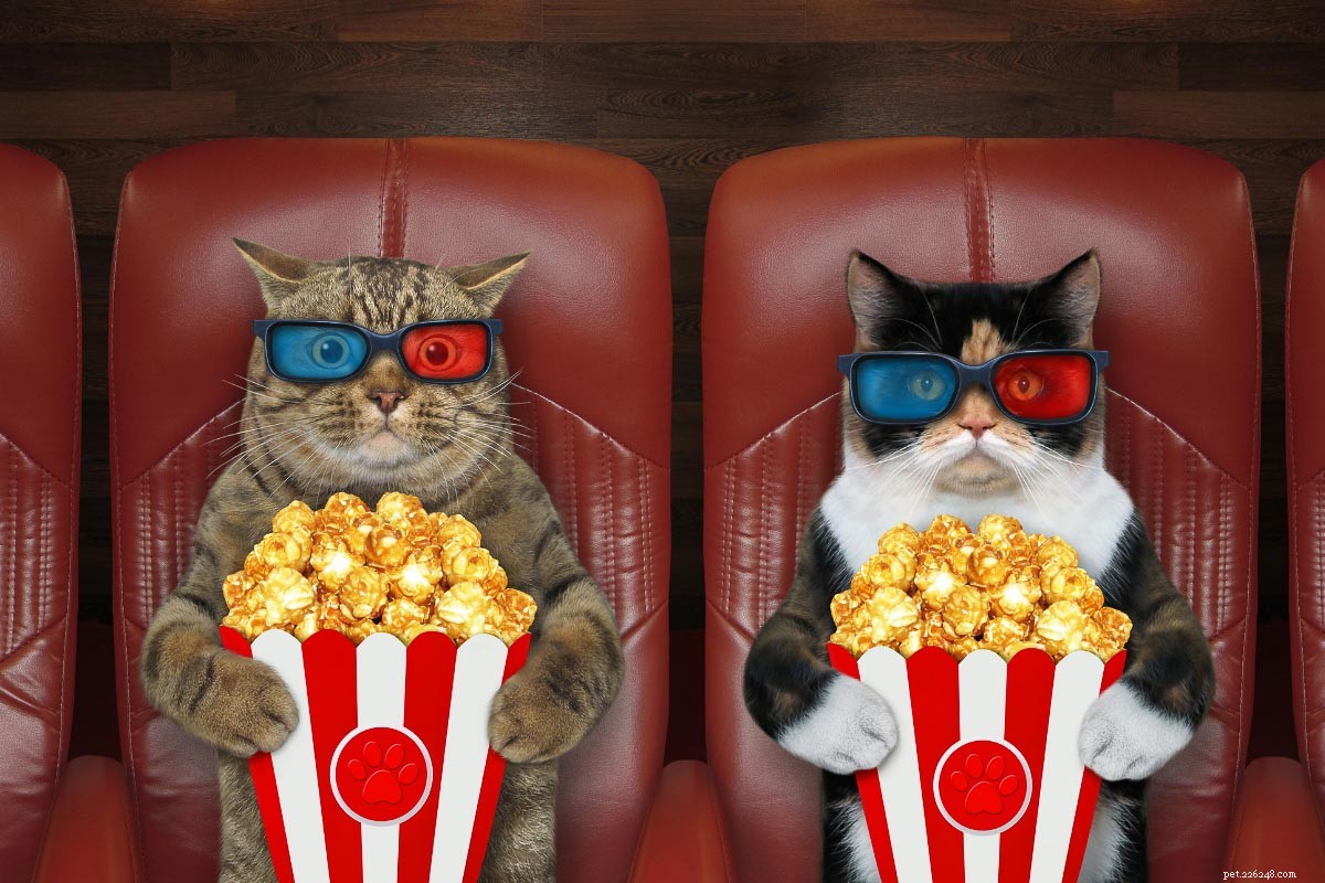 11 Marvelous Movie Cat Names You’ll Love