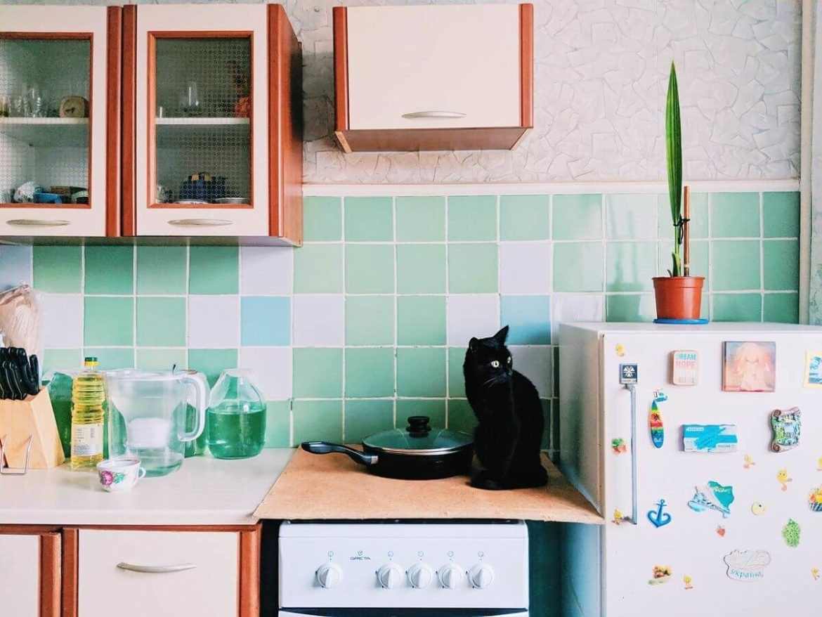 Почему кошки прыгают на кухонные столы?