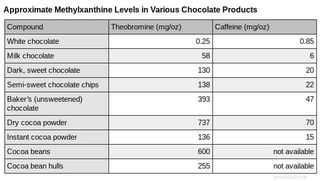 Pes snědl čokoládu – Rozpoznání příznaků a co dělat dále