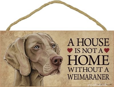 Informations sur la race de chiens Braque de Weimar :un guide complet
