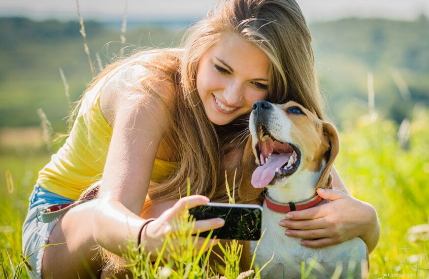스마트폰으로 더 나은 애완동물 사진을 찍기 위한 5가지 팁