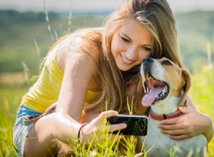 5 советов, как делать более качественные фотографии домашних животных с помощью смартфона