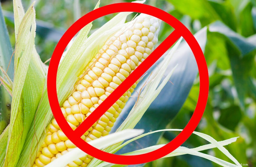 La vérité sur le maïs, le blé et le soja dans les aliments pour animaux