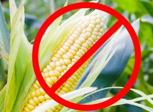 Правда о кукурузе, пшенице и сое в кормах для домашних животных