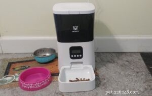 Never Miss Another Feeding:WOpet Boost Automatic Feeder Review