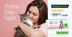 Spara pengar med dessa fyra  Prime -försäljningar för husdjursföräldrar