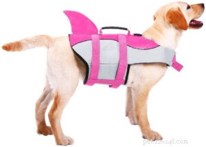 Nejlepší záchranné vesty pro psy
