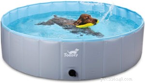 Melhores piscinas para cães na Amazon