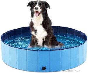 Meilleures piscines pour chiens sur Amazon 