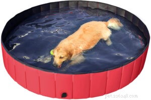 Melhores piscinas para cães na Amazon