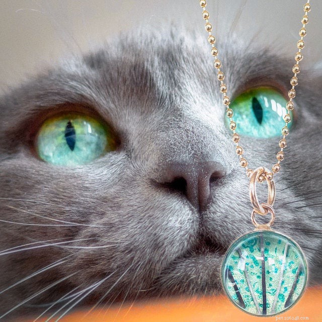 Juwelier transformeert gevallen kattensnorharen in verbluffende kunstwerken