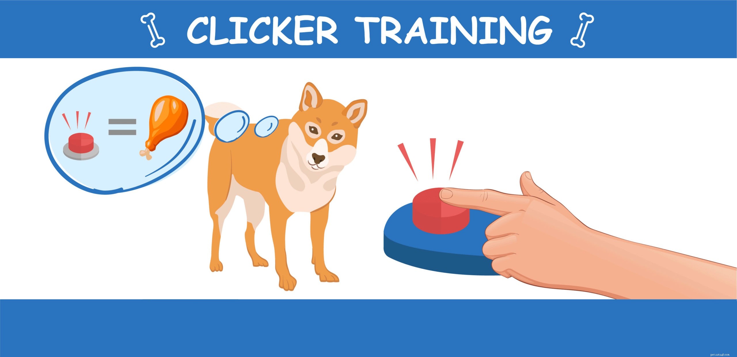 Tipi di addestramento del cane:7 metodi comprovati