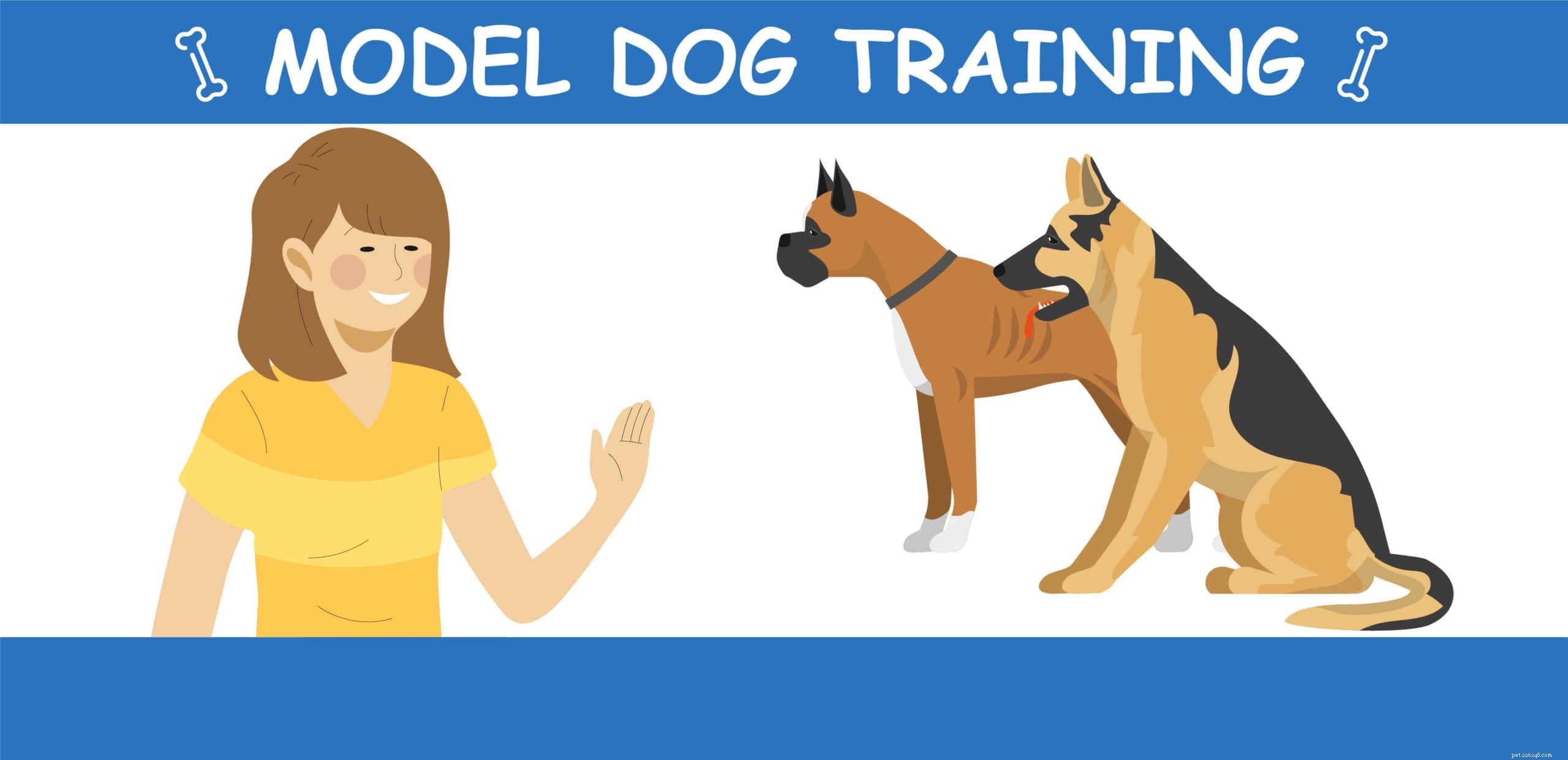 Typy výcviku psů – 7 osvědčených metod
