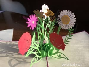 Pop-up-kort med roliga blommor för kattälskare