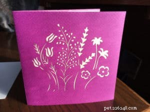 Zábavná květinová vyskakovací karta pro milovníky koček