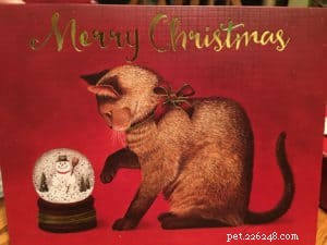 De 10 bästa julkorten för katter 2021