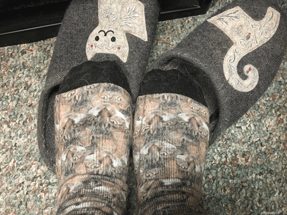 Recenze kočičích ponožek Printsfield (zahrnuje slevový kód)