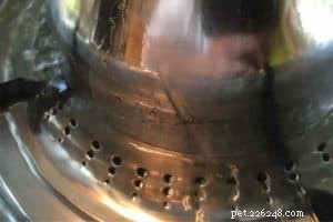 Обзор фонтанчика из нержавеющей стали PetSafe Drinkwell 360