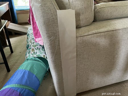 Hur man avskräcker katter från att klia sig i soffan