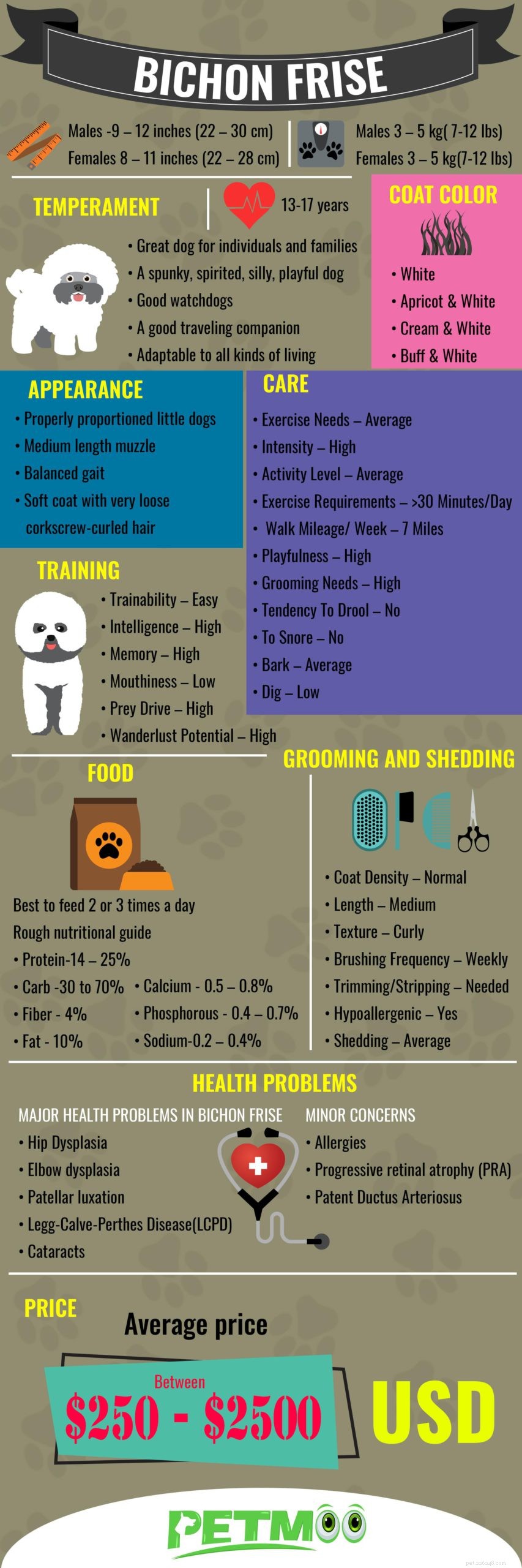Bichon Frise – fullständig information om hundraser