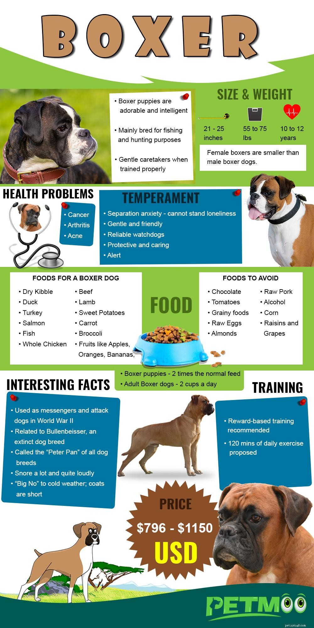 Щенки боксера – Информационный справочник по породам собак