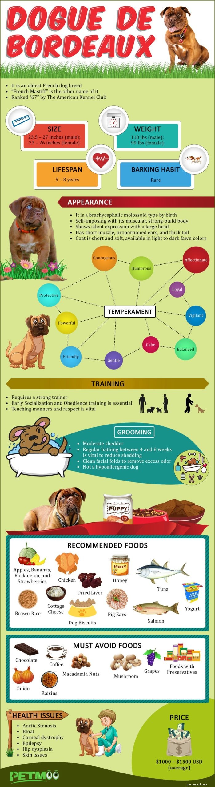 Dogue de Bordeaux – Informazioni sulla razza canina sul mastino francese