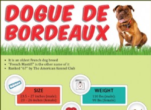 Dogue de Bordeaux –フランスのマスチフに関する犬の品種情報 