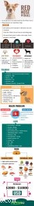 Красноносый питбуль — 12 фактов, которые нужно знать, прежде чем стать владельцем породы