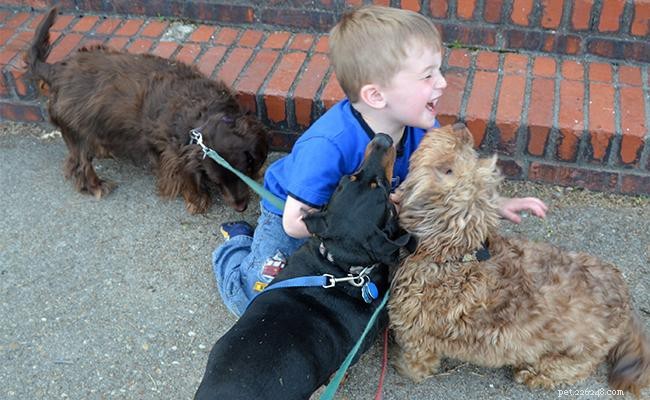 犬の社会化トレーニング–子犬を社会化する方法は？ 