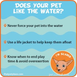 Dicas de segurança na água para donos de animais de estimação