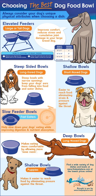 Výběr správné misky pro vašeho psa