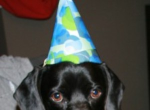 애완동물 생일 파티 – 가장 친한 친구의 특별한 날 축하