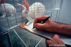 Crudeltà e abusi sugli animali:comprensione della legge e denuncia dei trasgressori